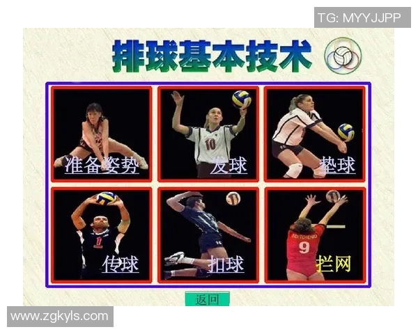 南京排球队在冠军赛中的速度优势与战术解析