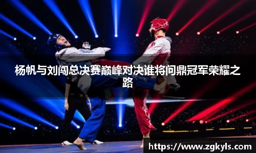 杨帆与刘闯总决赛巅峰对决谁将问鼎冠军荣耀之路