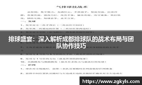 排球盛宴:深入解析成都排球队的战术布局与团队协作技巧